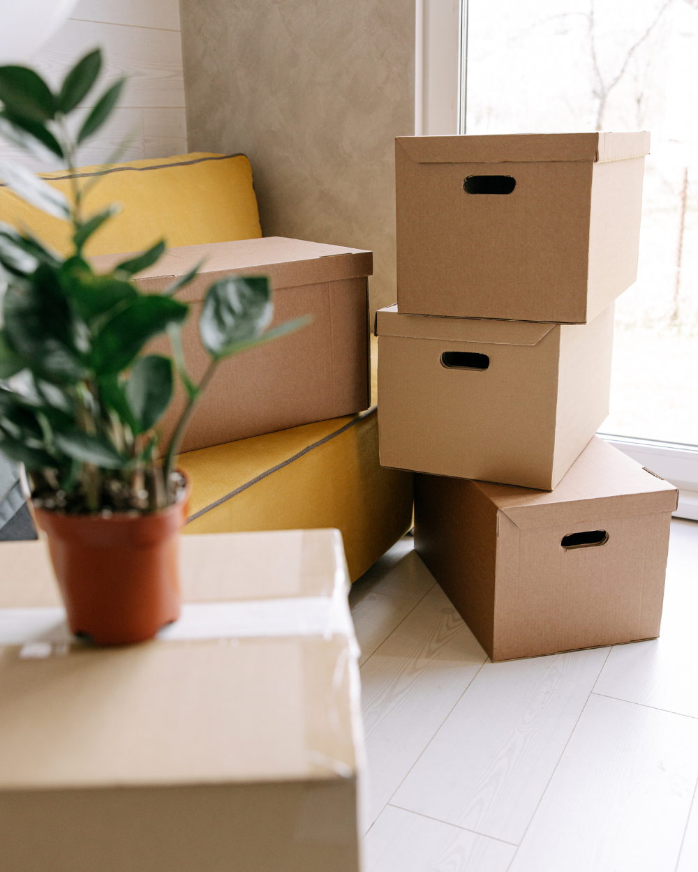 Move-in move-out checklist ideas