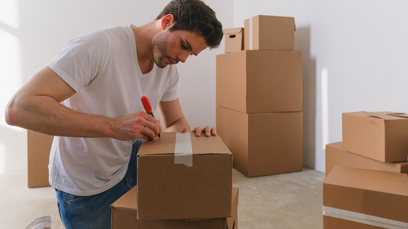 Move-in move-out checklist ideas