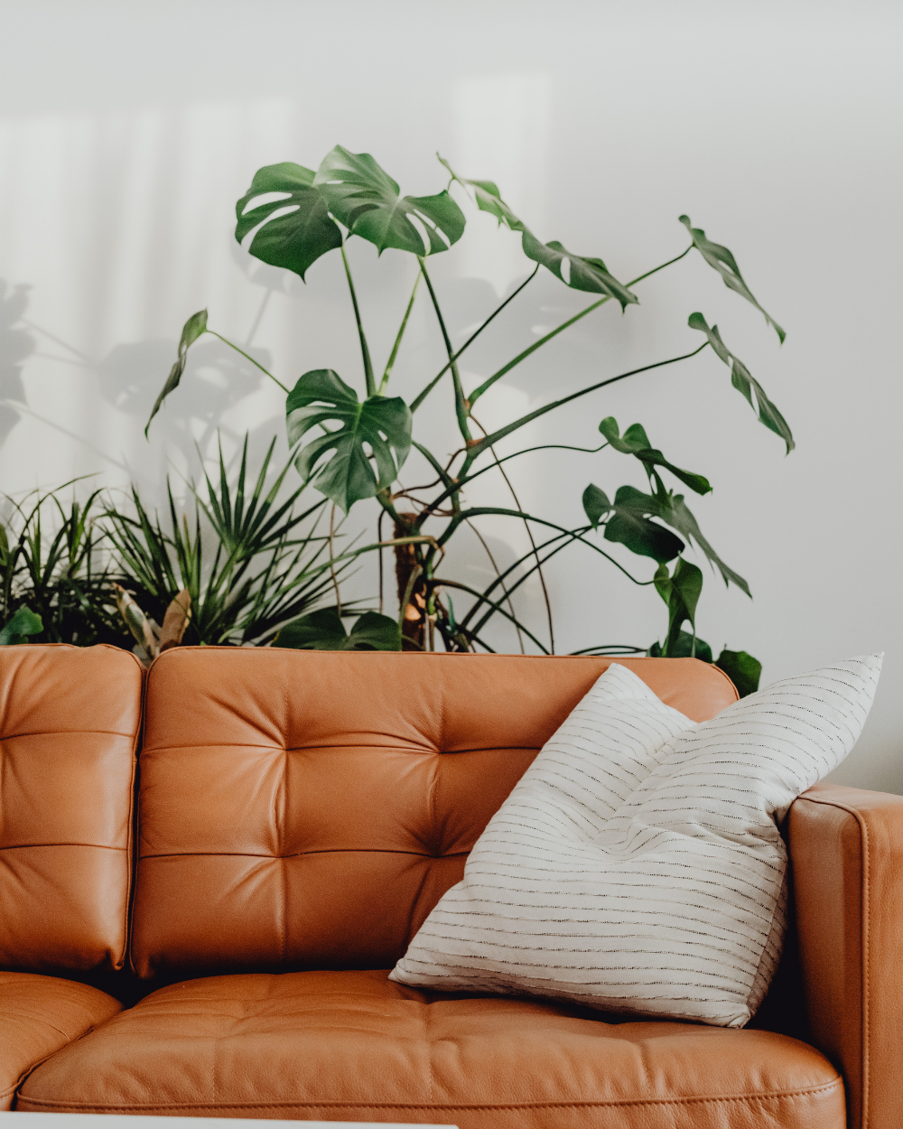 Seating arrangement ideas