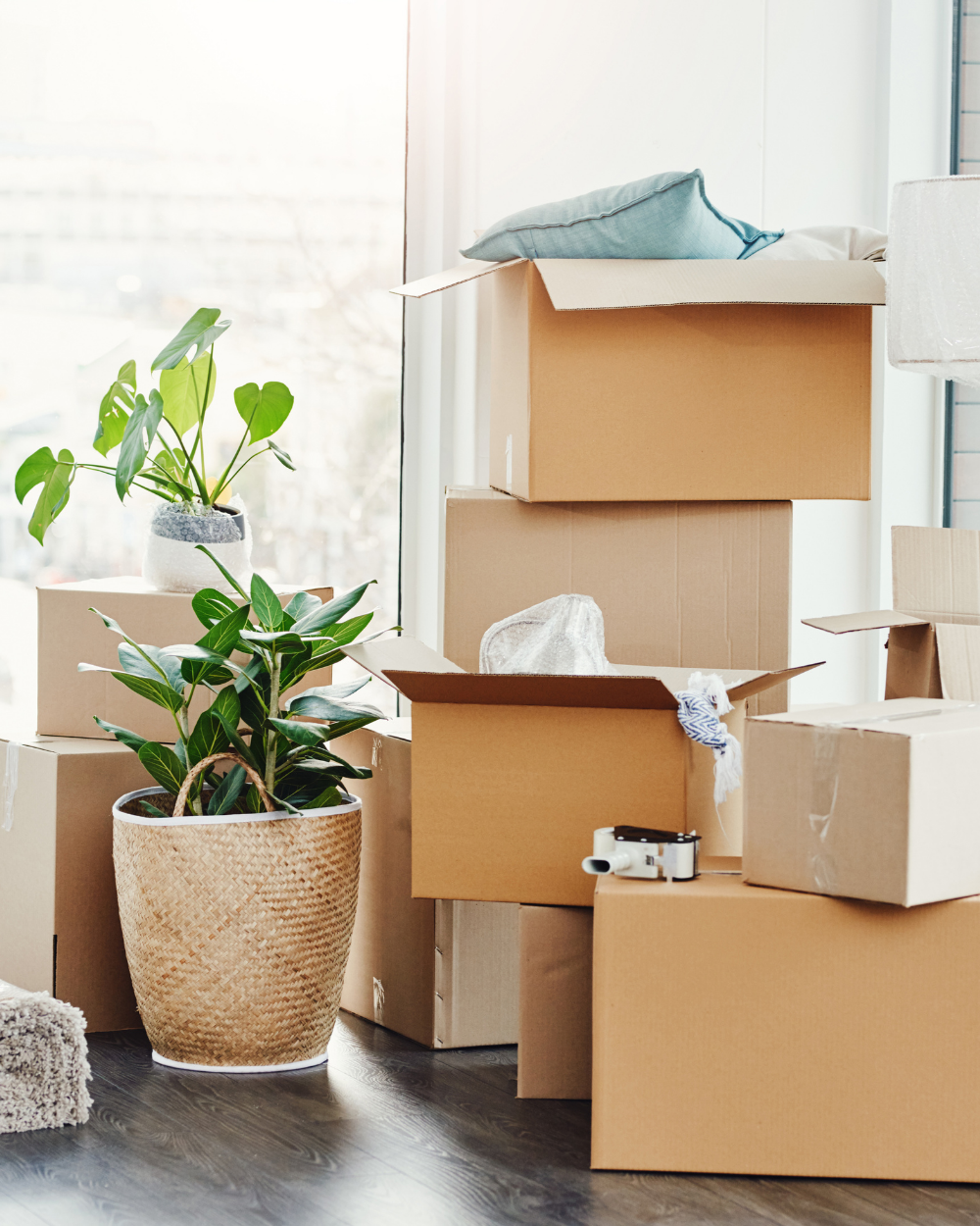 Packing order for a small apartment move