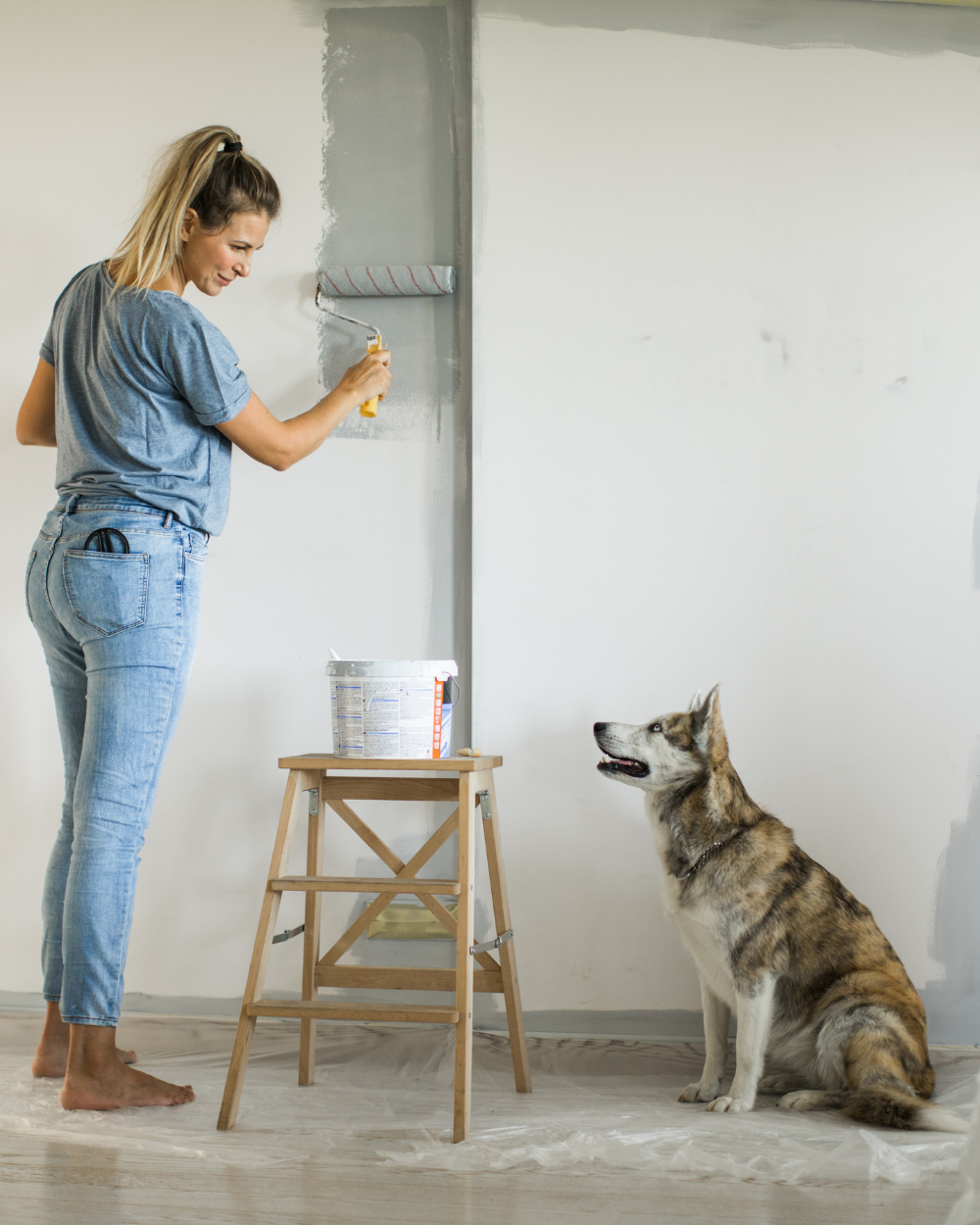 Renter-safe DIY projects